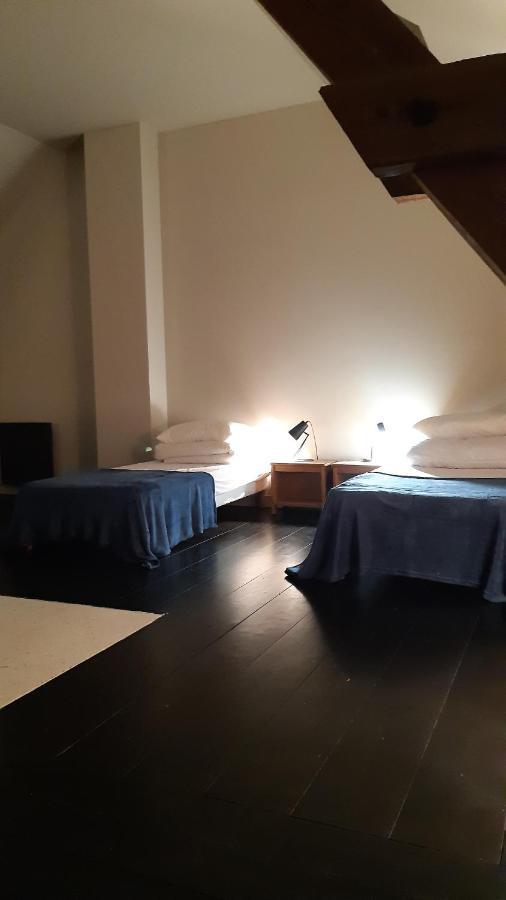 Le Loft Villa Sancergues Exteriör bild